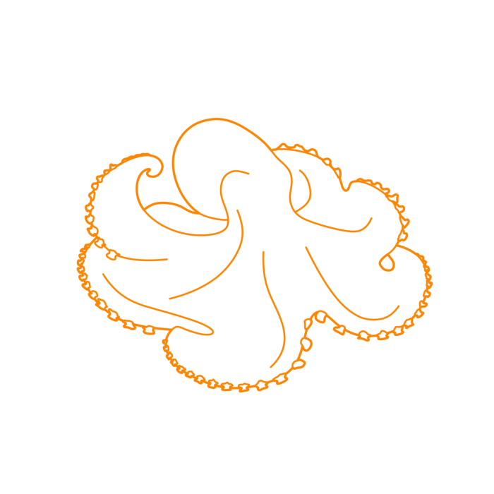 Free Download Vectors, Animals Cephalopods Coconut Octopus Outline Svg Vector
